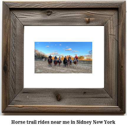 horse trail rides near me in Sidney, New York